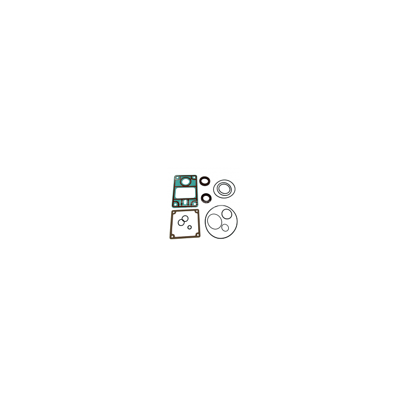 Seal kit for Agilent MS40+