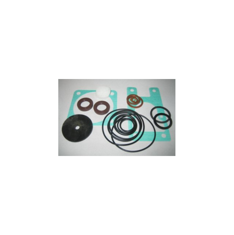 Gasket Kit, used on Busch R5 0012B, 0021B